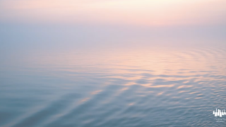 風に吹かれたまま